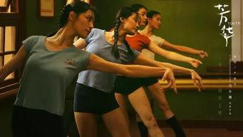 国产4级片,揭秘背后真相与反思