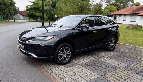 国产18p,探索中国影视产业的创新与突破