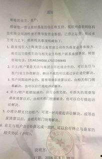 浮力影院国产第一,引领观影新潮流的先锋之作